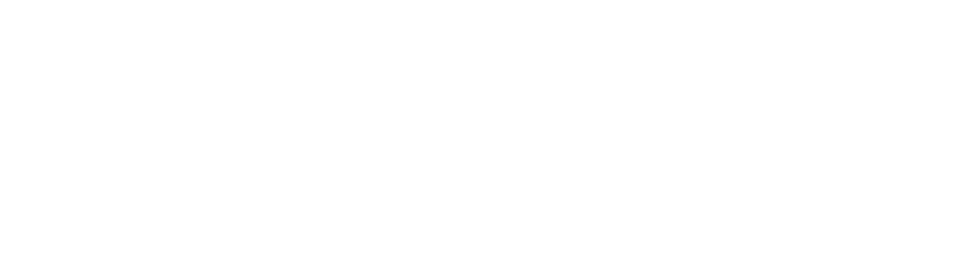 NumeroInsights Logo - White