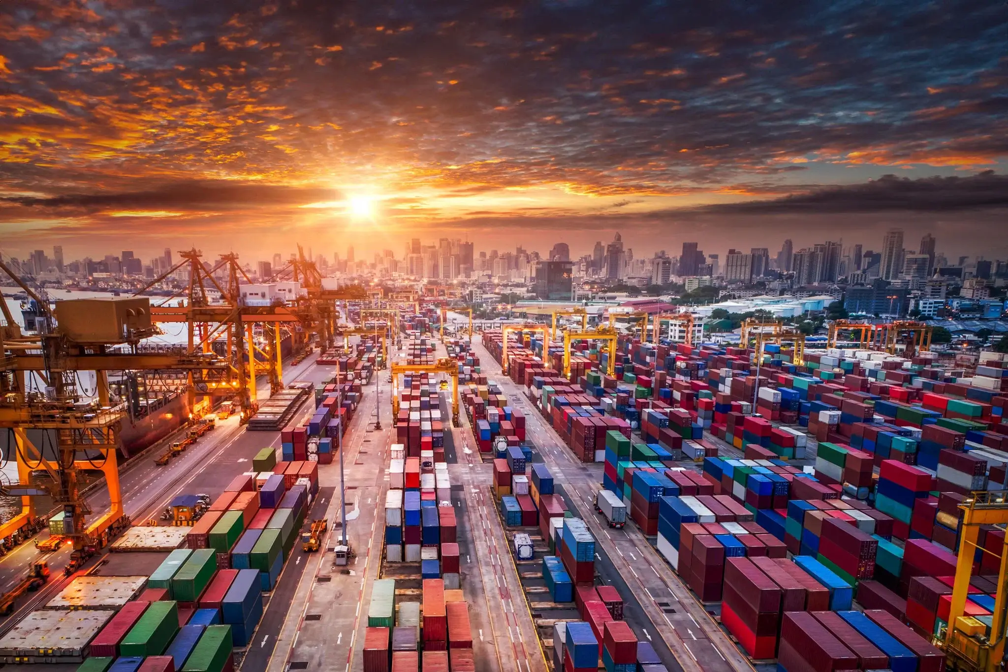 Image hover effect image