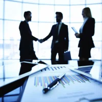 Professional Services